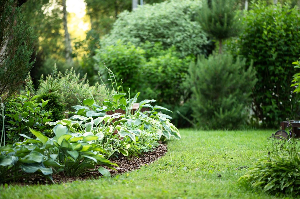 Residential Landsacping | Landscape Design in Bloomington, IL
